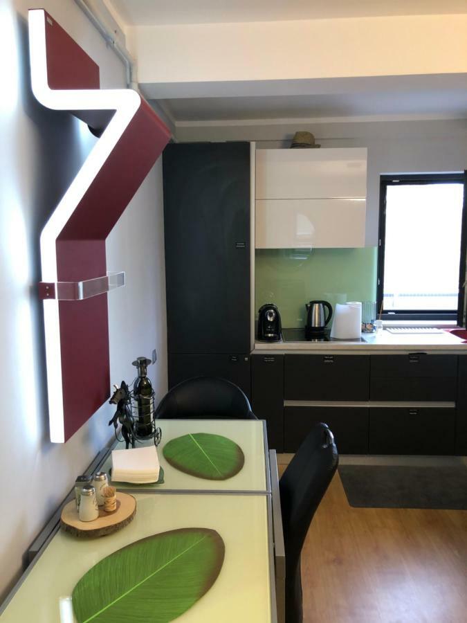 Relax Cluj Apartment And Terrace エクステリア 写真